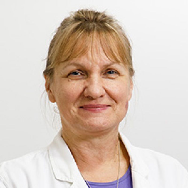 Dr Vesna Perišić