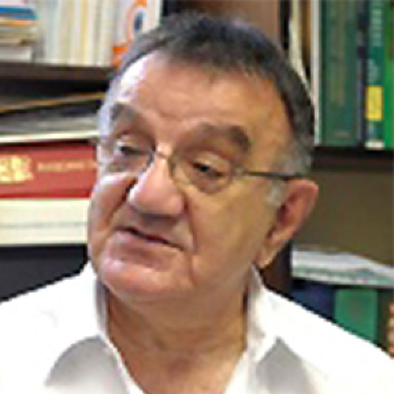 Prof. dr Vojislav Perišić